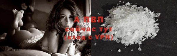 ECSTASY Кулебаки